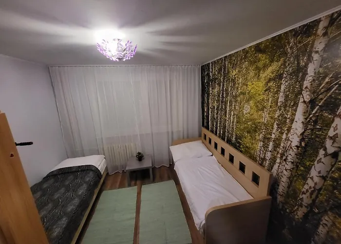 Apartament George
